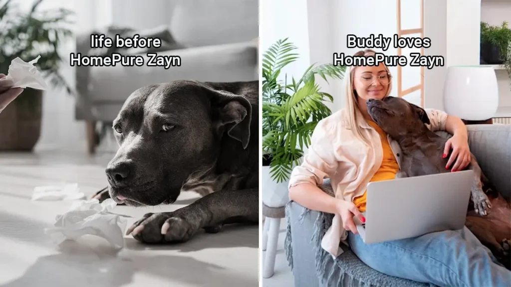 Purr-fectly Clean Air: How HomePure Zayn Can Help with Pet Allergies